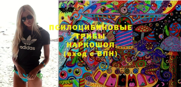 mdpv Богданович