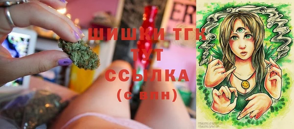 стаф Богородицк
