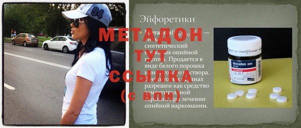 прущие грибы Корсаков