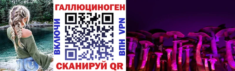 закладки  Ковылкино  Галлюциногенные грибы Cubensis 
